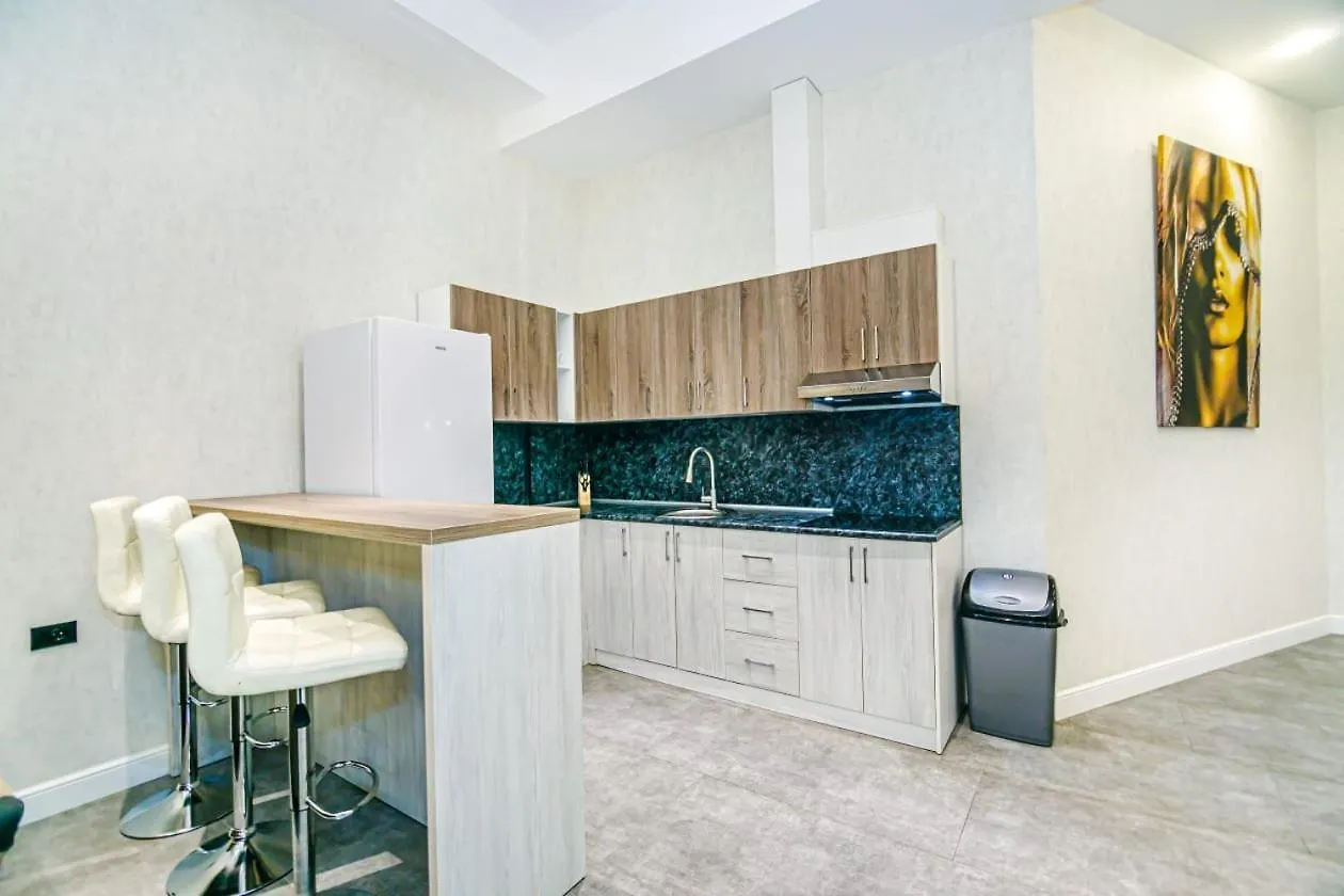 Two-Bedroom Apartment City Center Baku